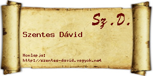 Szentes Dávid névjegykártya